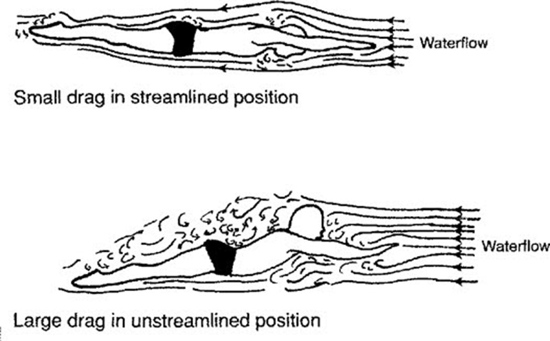 Swim-time-log-Butterfly-stroke-technique-enhance-your-swimming-performance